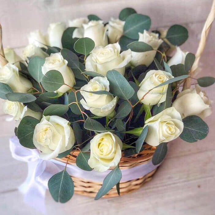 Р¦РІРµС‚С‹ Flor World